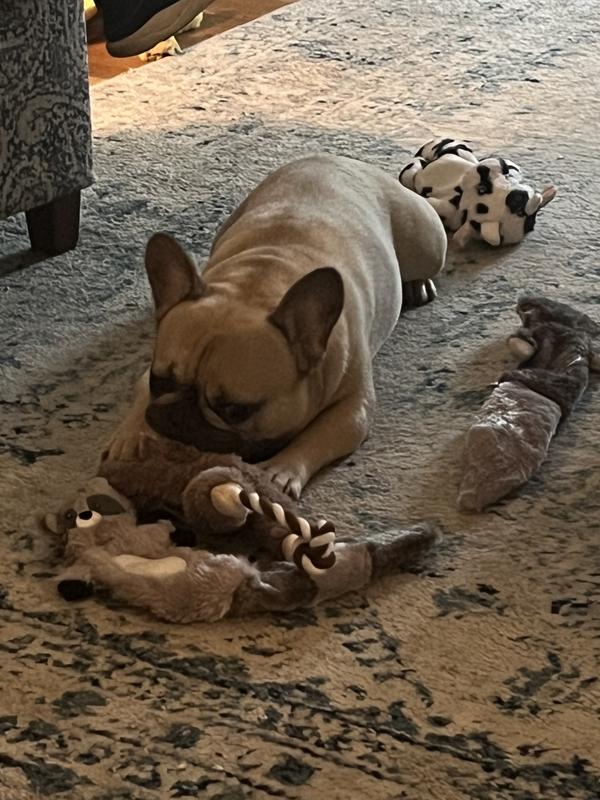 Hamilton with his “frisco” friends