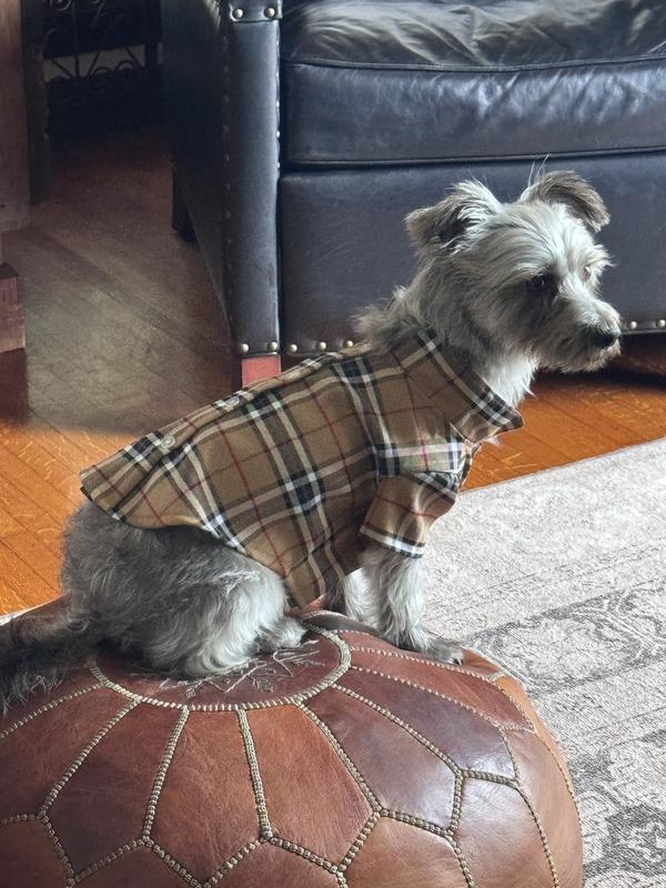 Collar shirt with bottoms, plaid print.