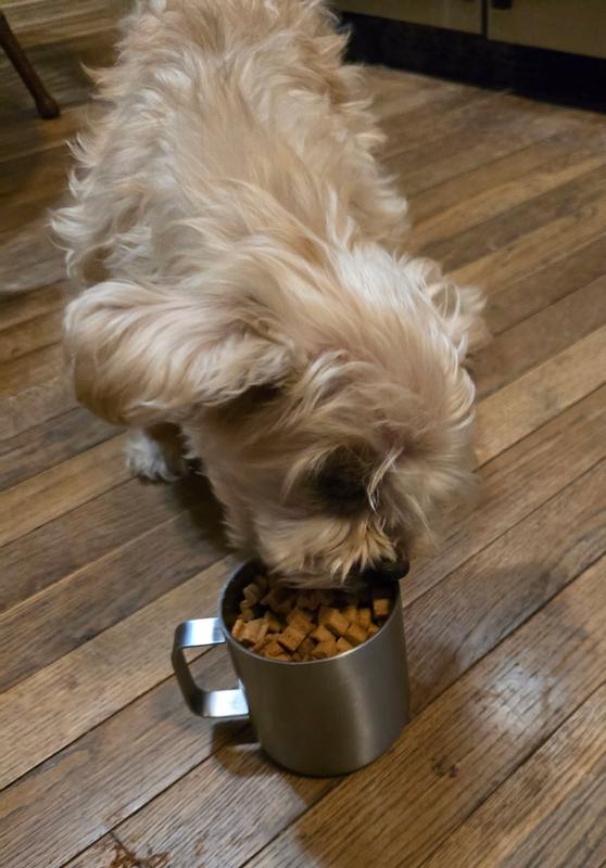 First picture was just so you knew it was your product for reference, they got very excited for it, like it was a treat lol