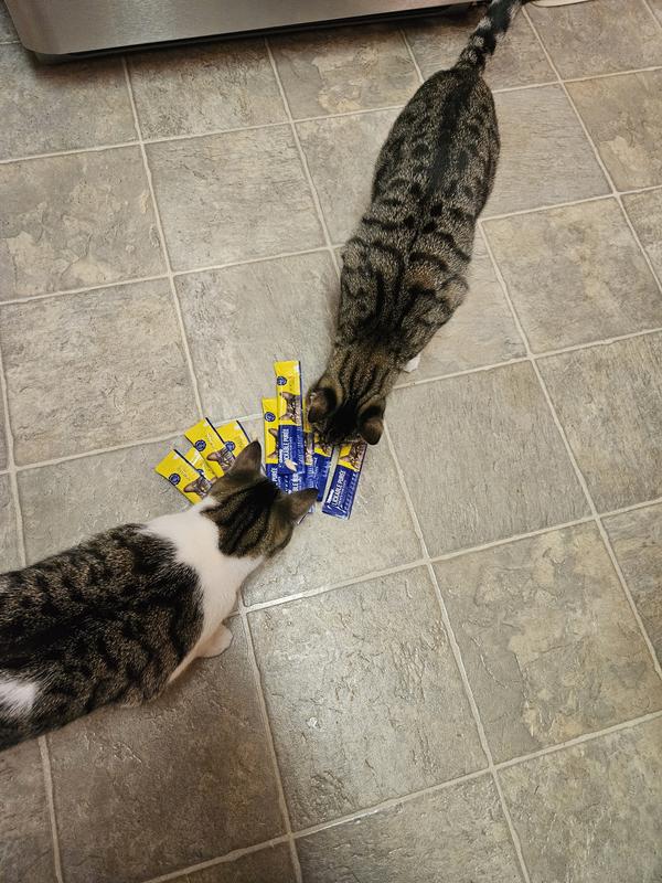More please!
