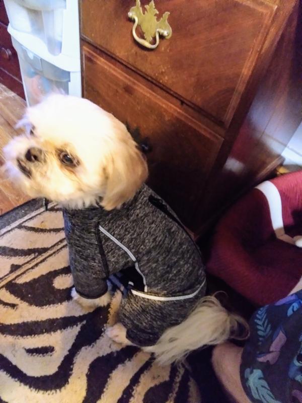 KURGO Stowe Base Layer Dog Sweater, Heather Black, XSmall