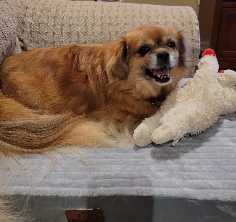 Honey wants one, too.