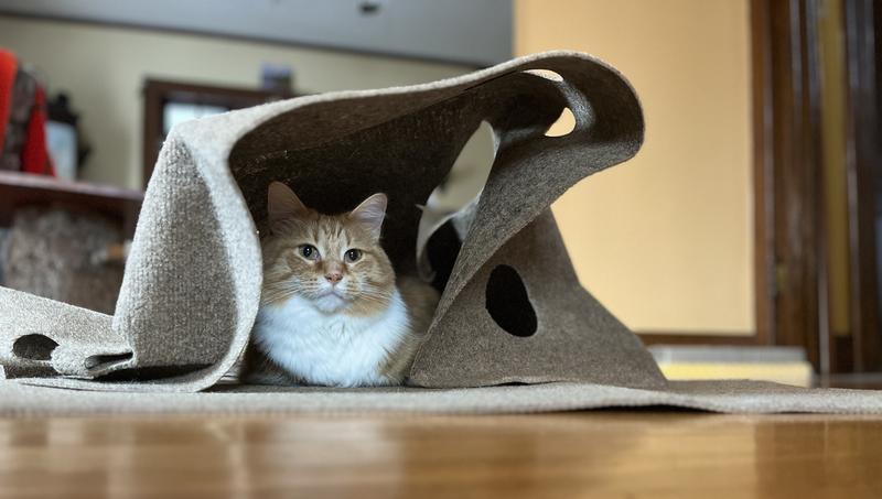 Ripple Rug Cat Activity Mat: Endless Fun for Your Feline!