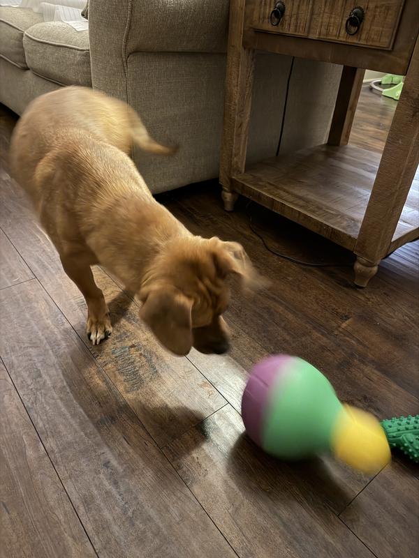 When food from a dog bowl doesn’t always interest a dog get this toy!! Mealtimes made easier!