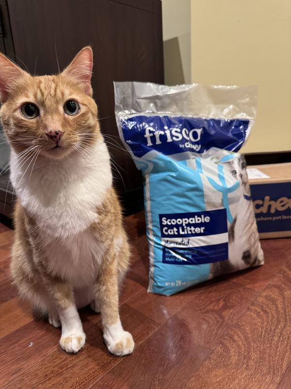 Frisco clumping hotsell cat litter