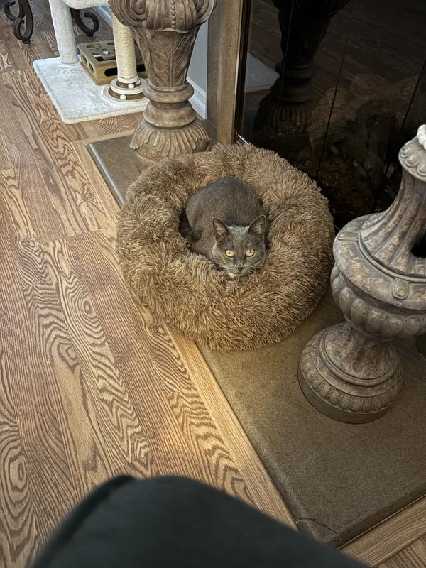 Her favorite bed