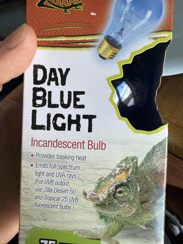 This could work for a couple hours am and pm for crepuscular snakes.