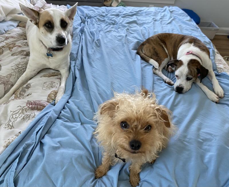 My crew