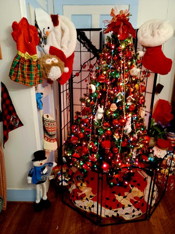 DOG WHISPERER Beef Flavored Sticks Jerky Dog Treats, 24oz bag