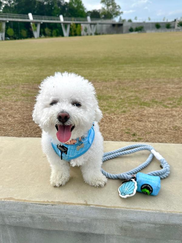 Sassy Woof Rope Dog Leash, Azul