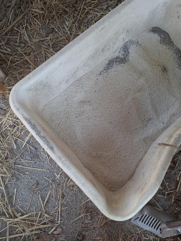 Almost can't tell it's in litterbox