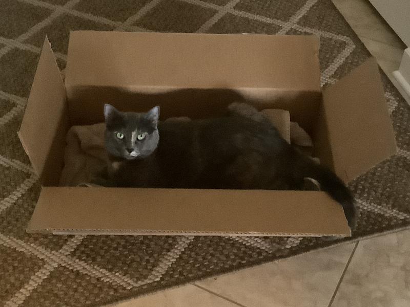 Ahhh, the perfect size box!