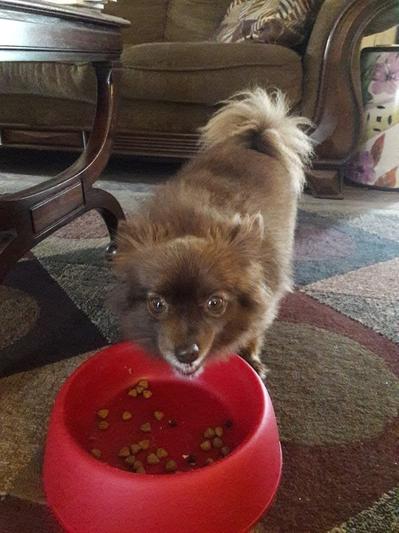 My picky eater