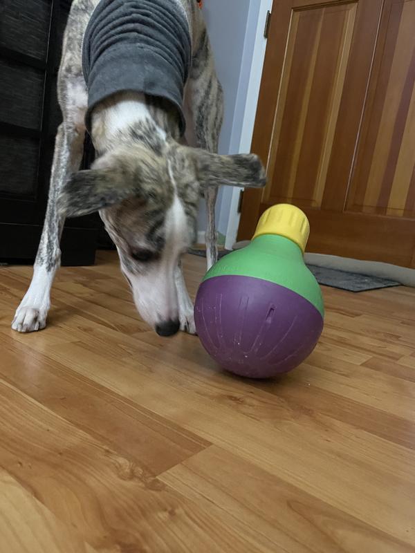 Working for her food