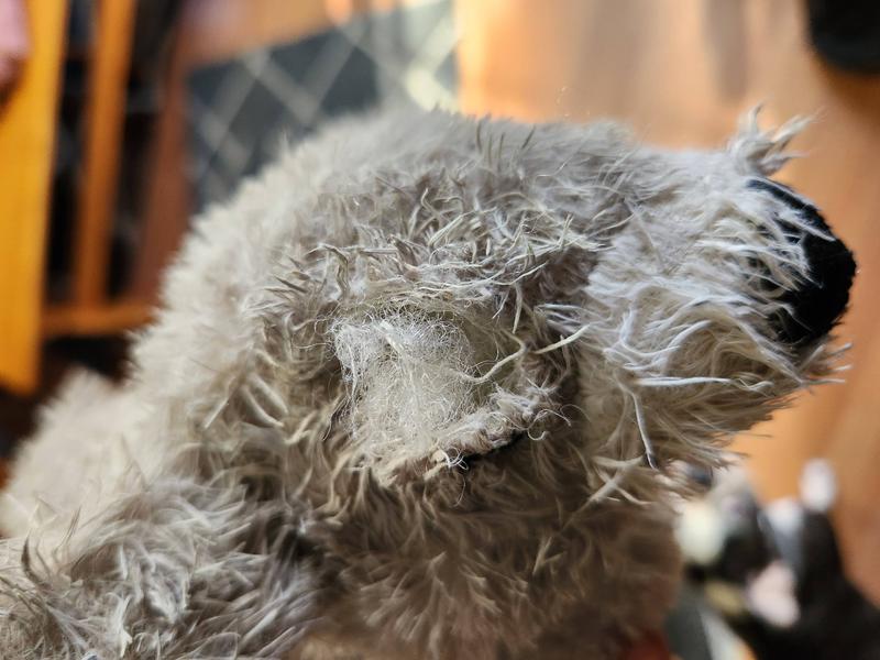 KONG Cozie Buster the Koala Dog Toy