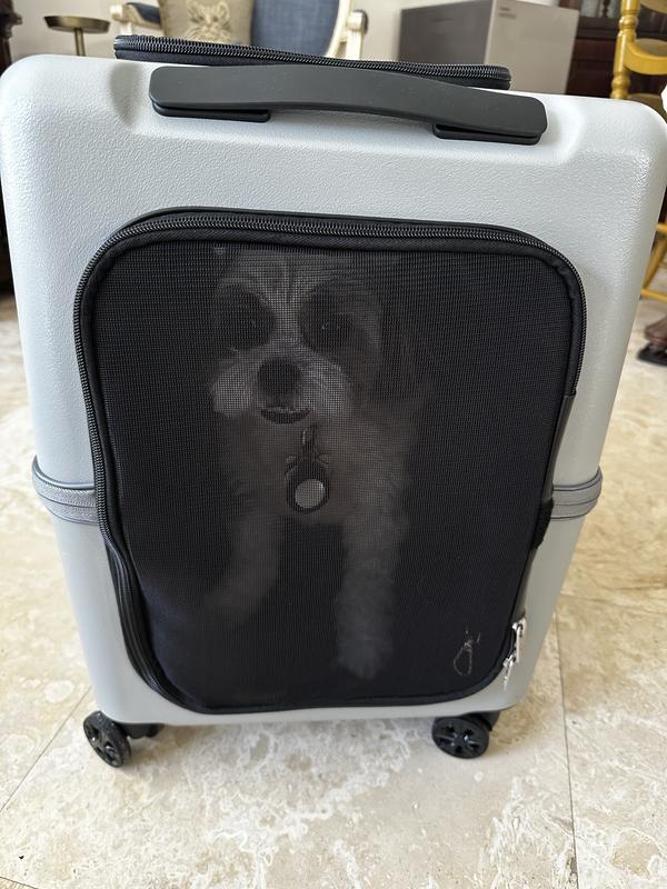 Ronnie inside carrier