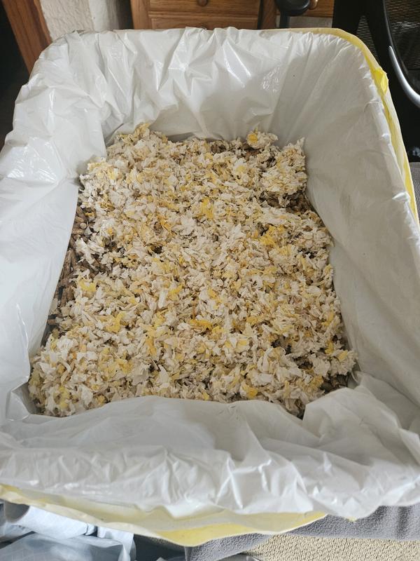 They marigold bedding layered on top