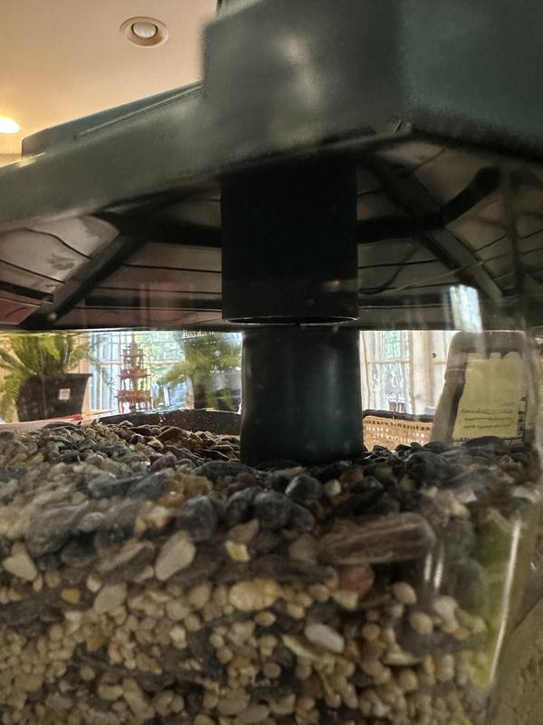 Top misaligned because seeds are in little crevice