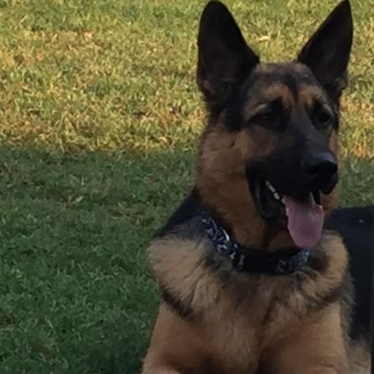 Blitz says thank you