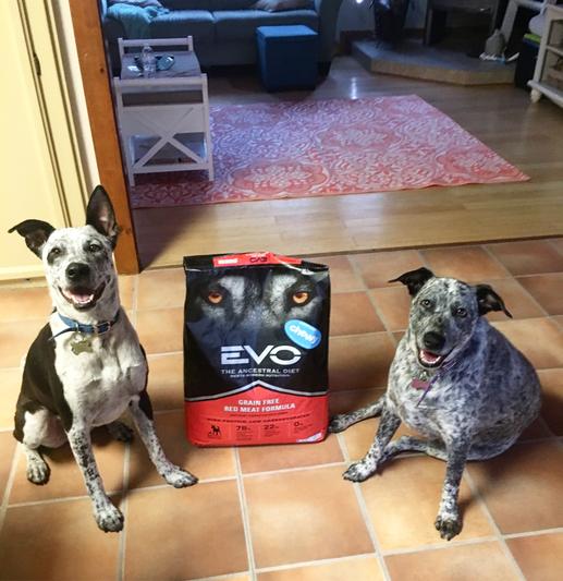 EVO Grain Free Red Meat Formula Large Bites Dry Dog Food reviews