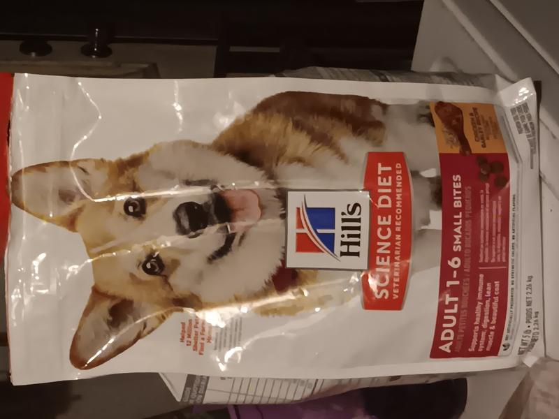 Hill's science diet adult advanced fitness outlet small bites dry dog food