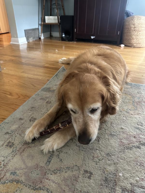 One happy golden gal