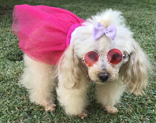 Muneca before going to the beach!