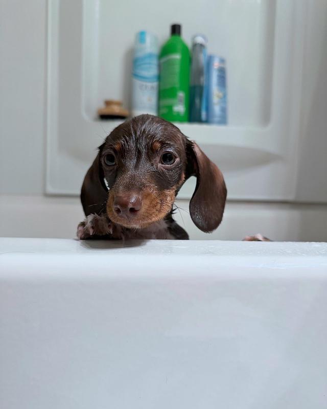 Bath time approved!
