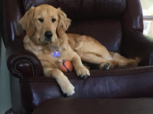 LiLy @ 20 months