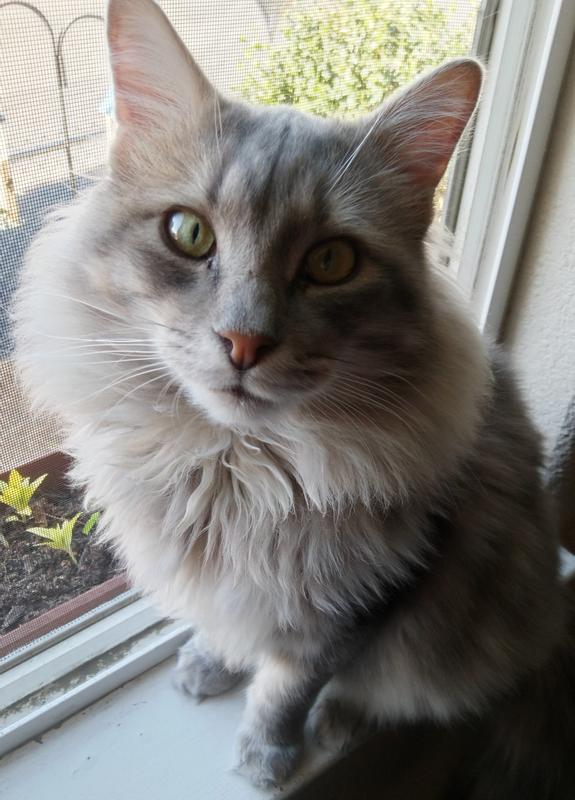 Logan looking innocent!