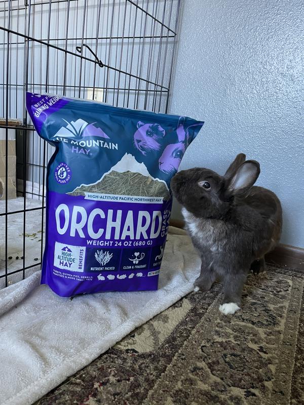 Inspecting the new delivery!