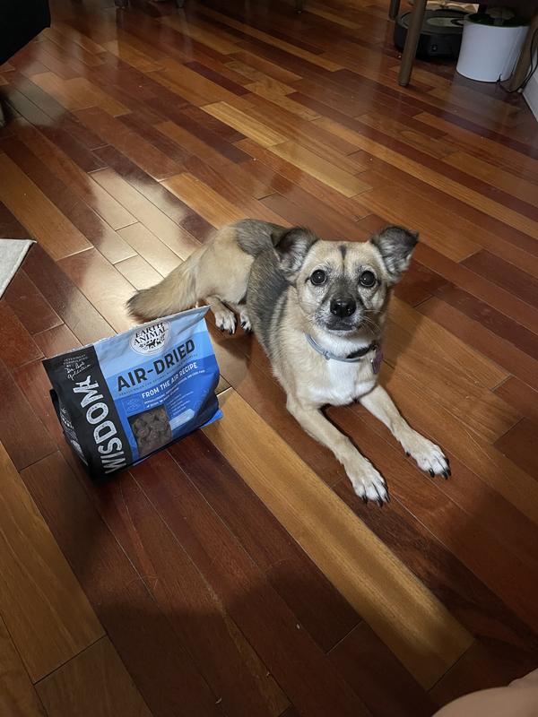 Waiting patiently for a snack