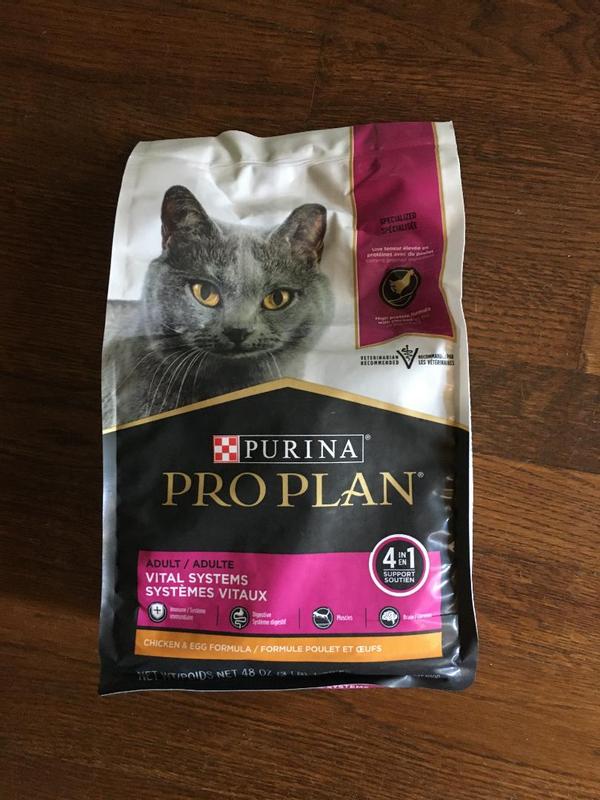 Pro plan outlet british shorthair