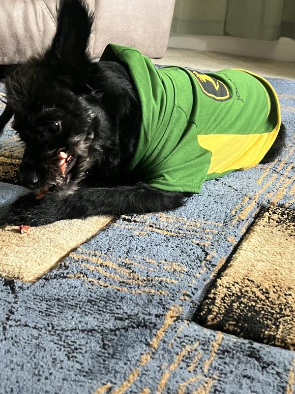 Nothing like being cozy