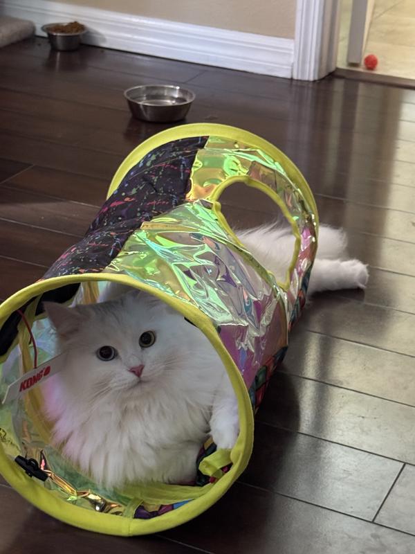 Well made cat tunnel