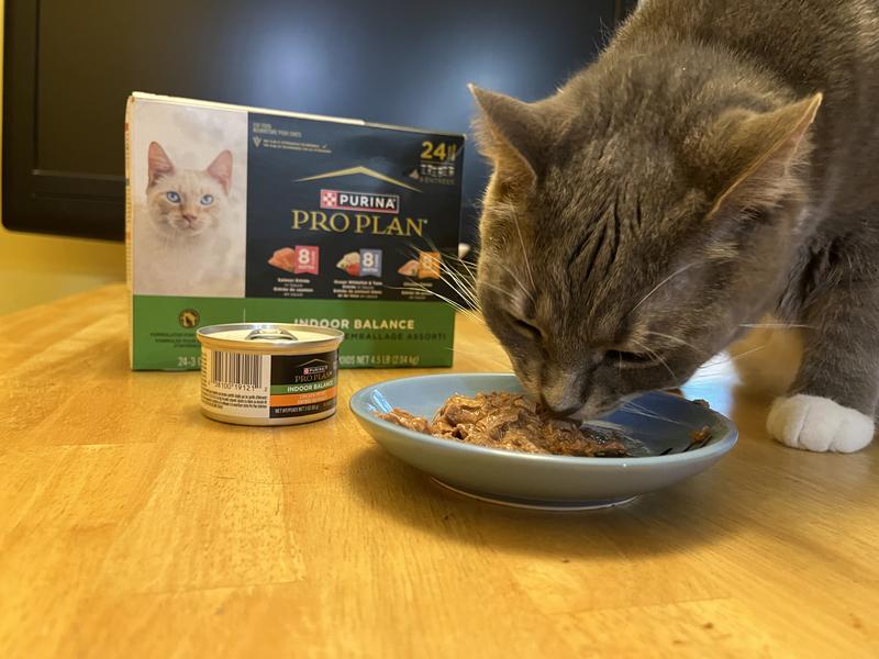 Leo Loves the Chicken flavor entree