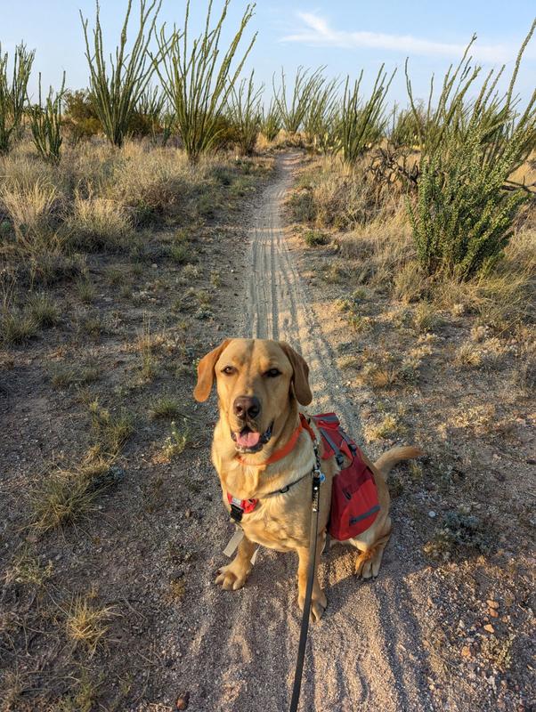 Packing our water is essential in AZ.