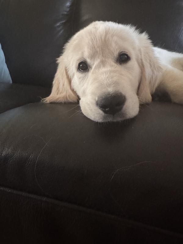 Kimber showing her beautiful self off