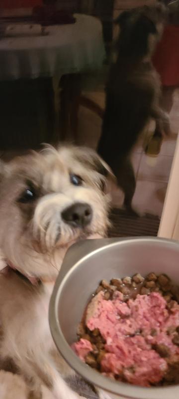 Bailey is excited for it!