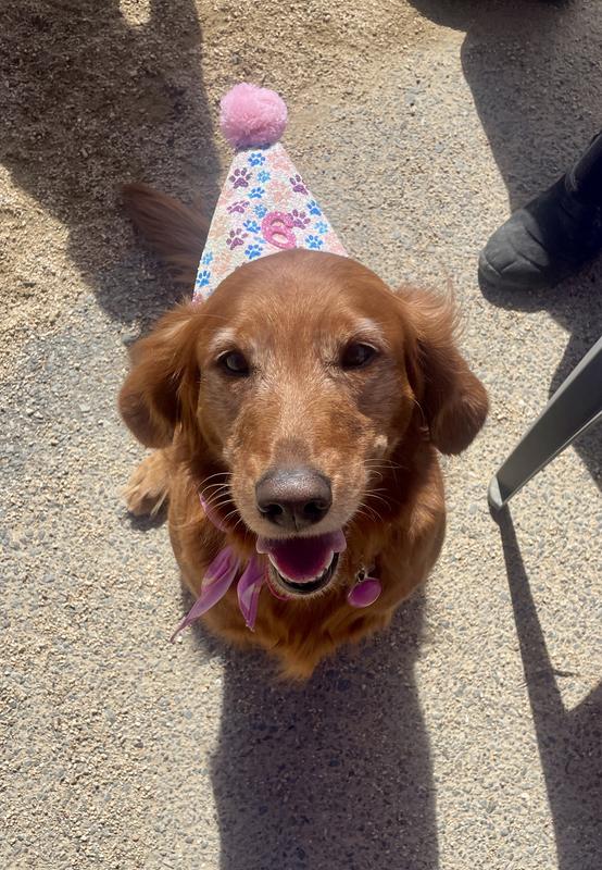 My very happy girl, after sharing the cookies.