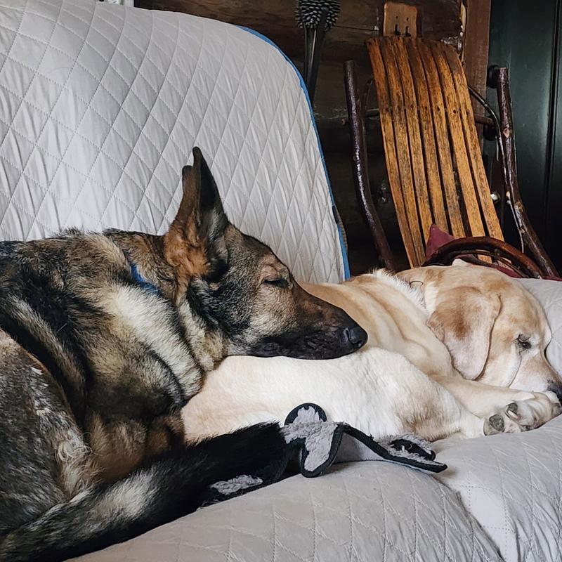 Snuggling after ear cleaning