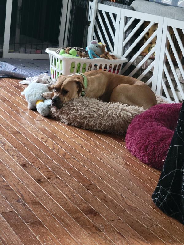 My 3 yr old engaged with the toy