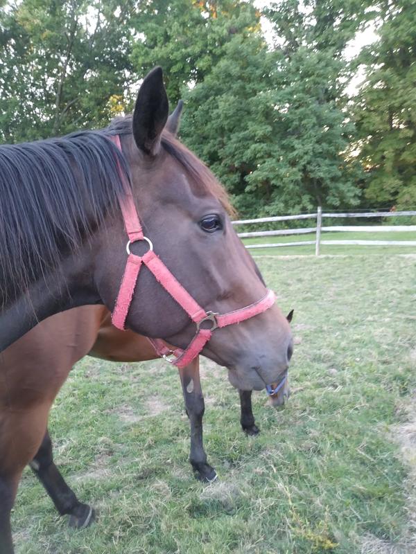 Sloane my wiggle worm