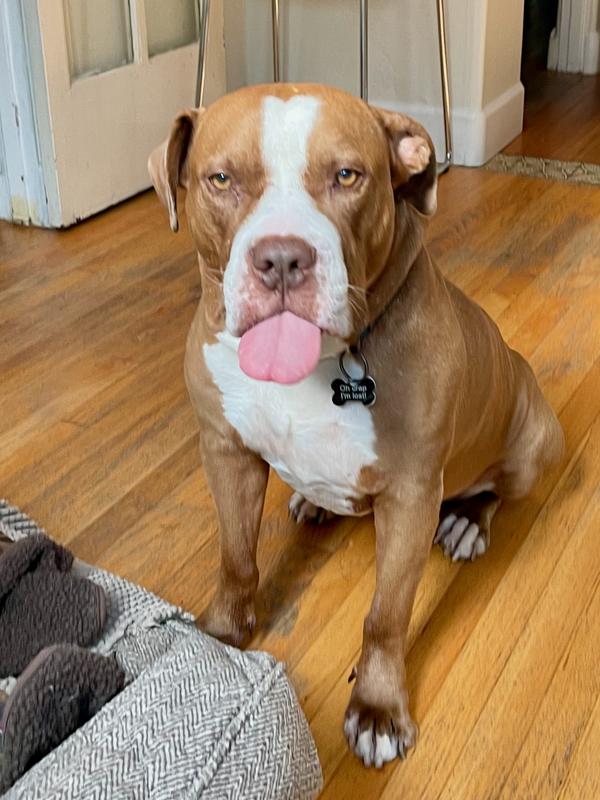 I love Peanut Butter!