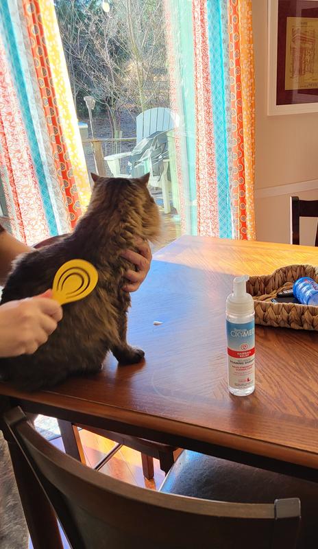 Zoes fur is always soft, clean and less shedding. She hardly puts up a fuss!