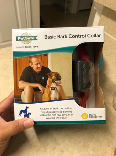  PetSafe Basic Bark Control Collar for Dogs 8 lb. and Up,  Anti-Bark Training Device, Waterproof, Static Correction, Canine -  Automatic Dog Training Collar to Decrease Barking, PBC-102 : Barking  Deterrent