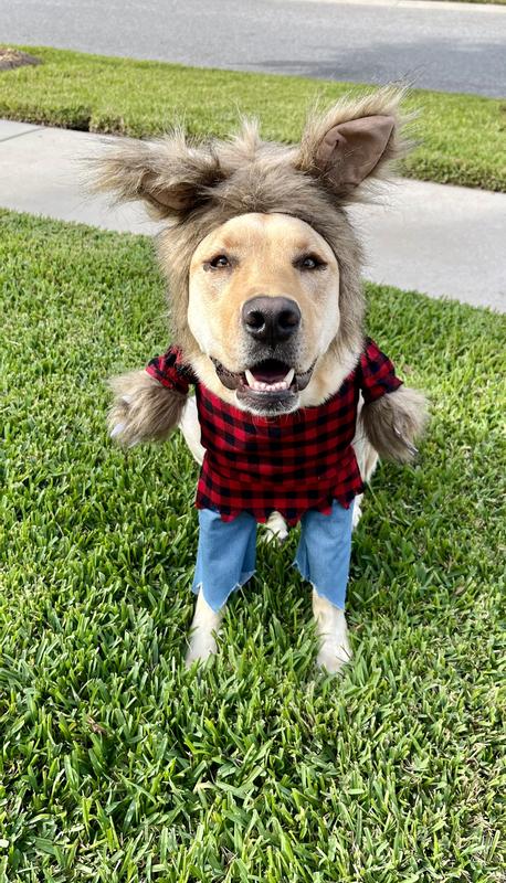 Werewolf costume shop for dogs