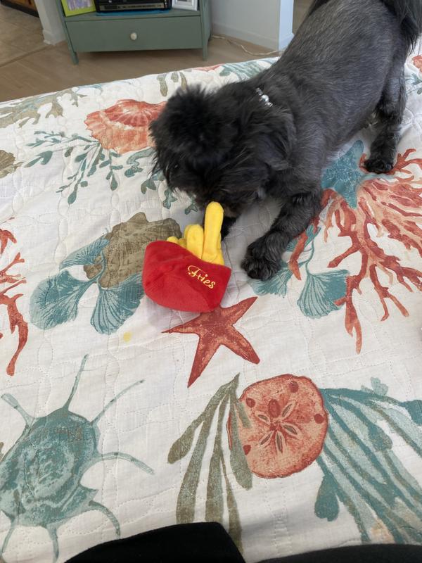 Love my Frenchie Fries!