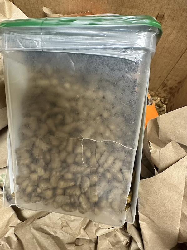 Cracked Greenies container view 1