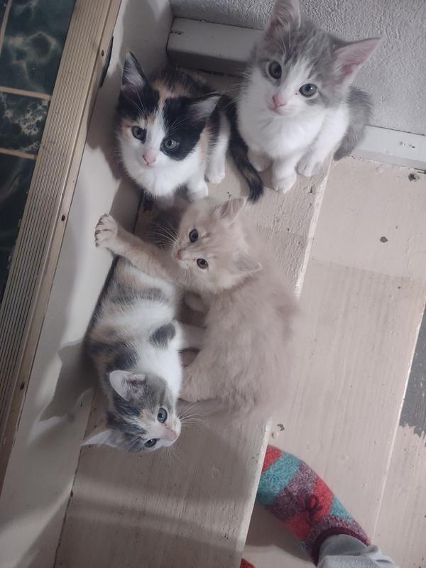 Great source of health